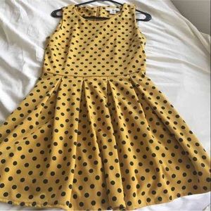 Stylish Mustard and Polka dots