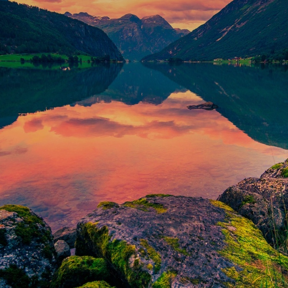 Meet your Posher, Mckenzie