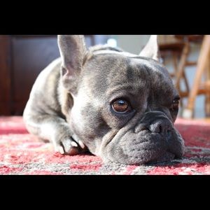 Meet your Posher, Brittany