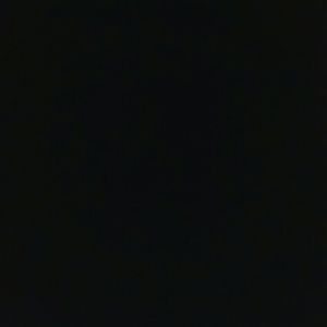 Meet your Posher, Dakota