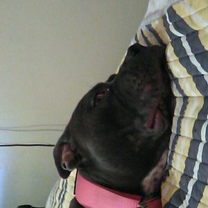 Meet your Posher, Jen