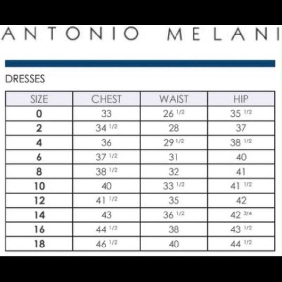 Antonio Melani Dress - Picture 4 of 4