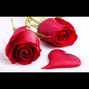 Meet your Posher, Cassandra