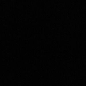 Meet your Posher, Joey