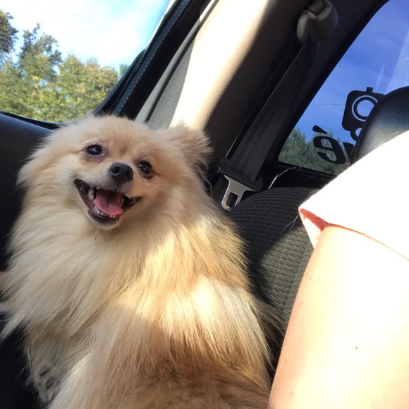 Meet your Posher, Amber! - Picture 7 of 7