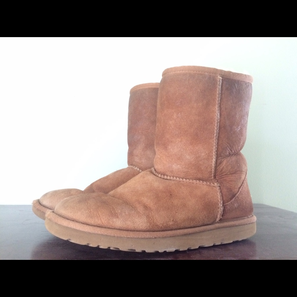 Short Chestnut Uggs