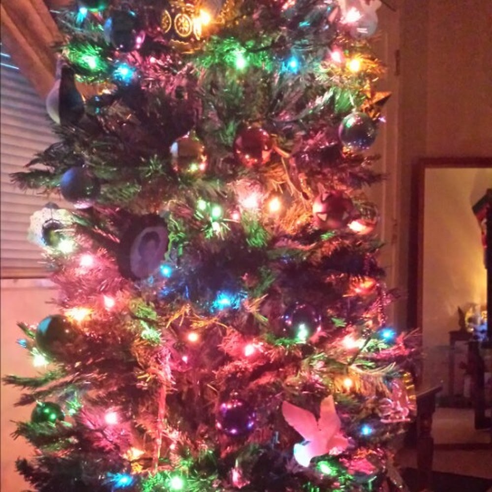 Meet your Posher, Dystinee