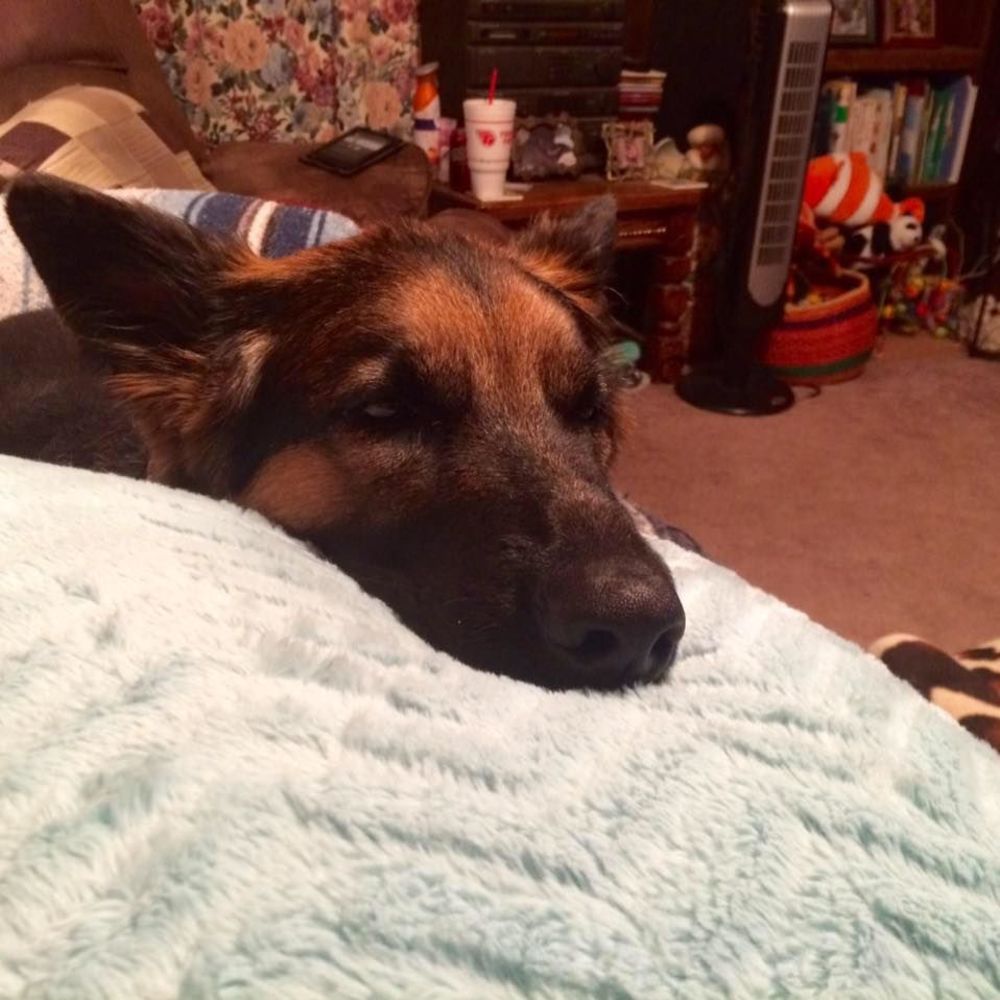 Meet your Posher, Amber