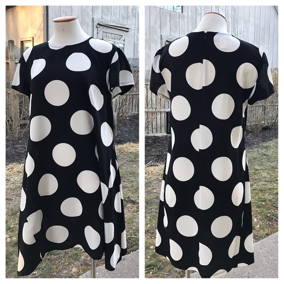 Donna Morgan Black Polkadot Short Slv Dress - Picture 3 of 6