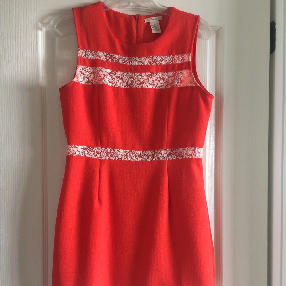 Bright, flattering orange and white lace dress