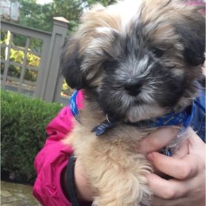 Meet your Posher, Jayne