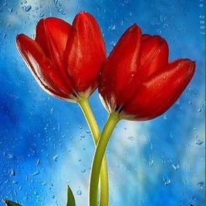 Meet your Posher, Marilyn