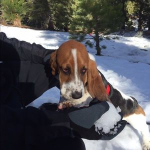 Meet your Posher, Claudia