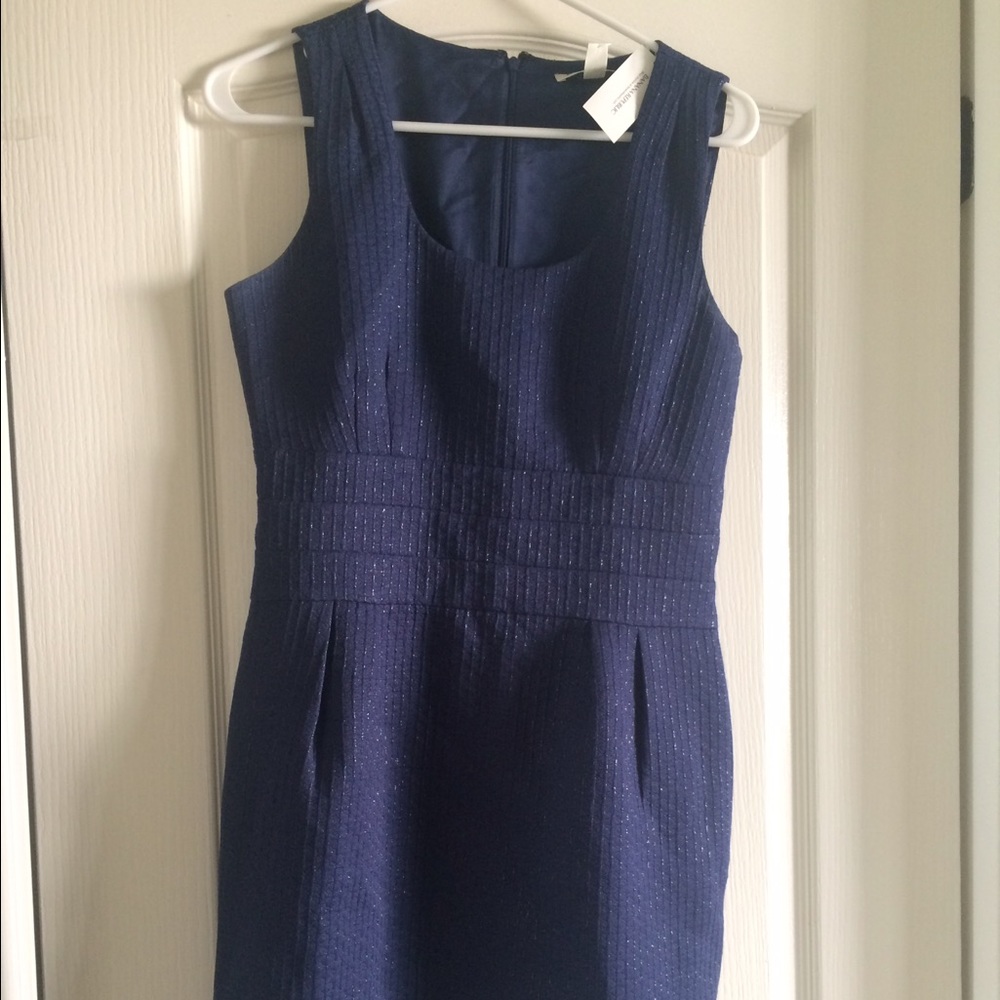 Navy Work/Event Dress