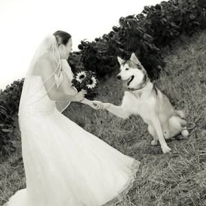 Meet your Posher, Darcie