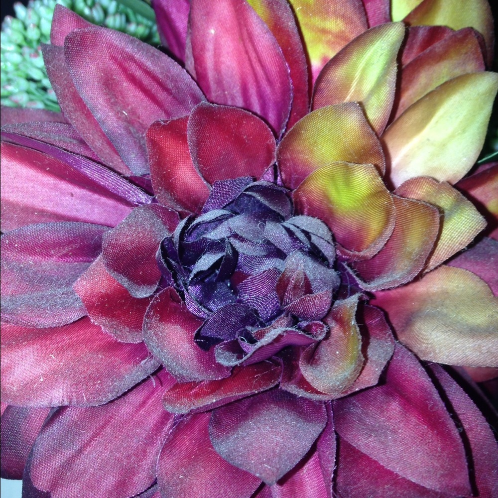 Meet your Posher, Carla