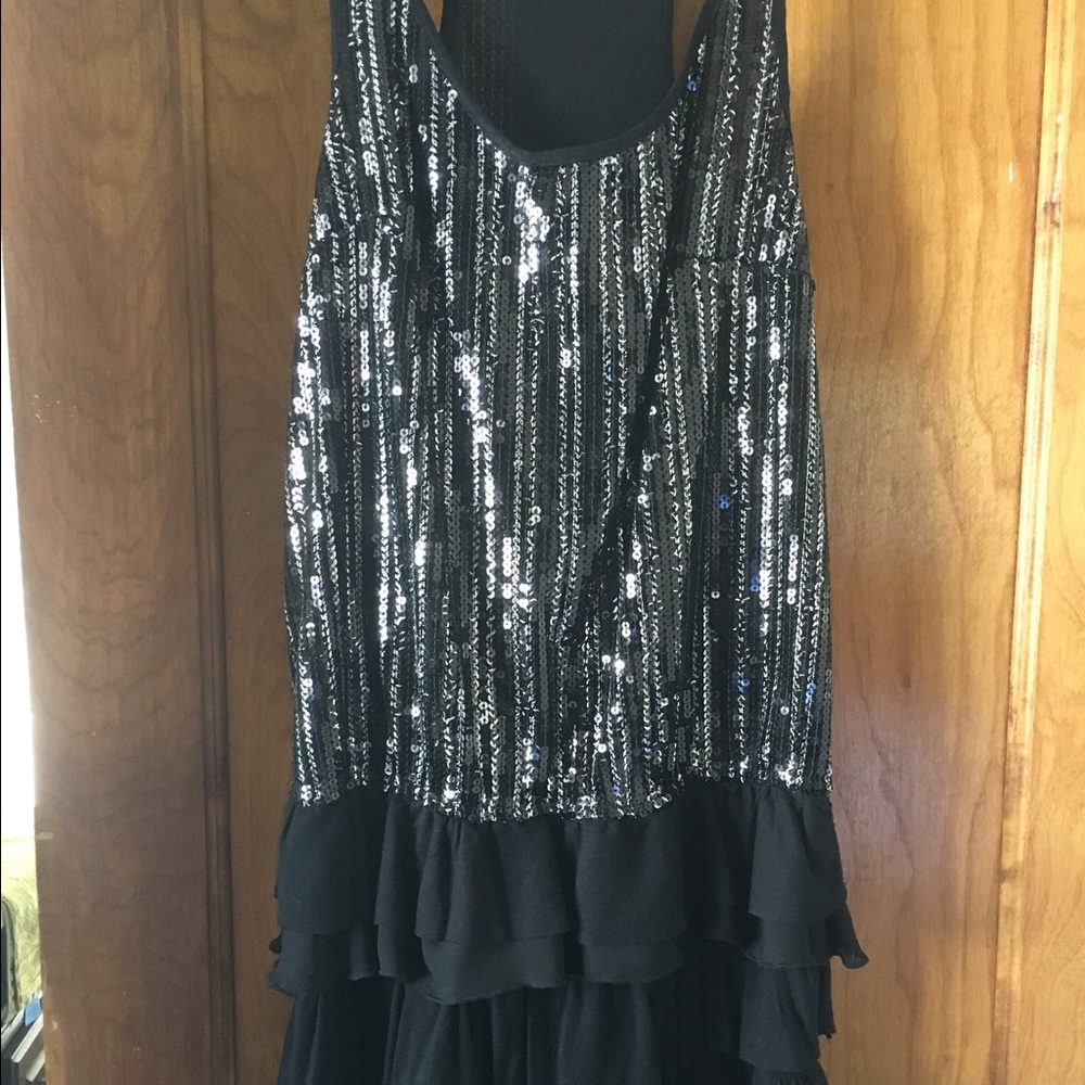 NWT Zara dress with sequin and ruffles.