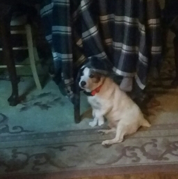 Meet your Posher, Surfer - Picture 2 of 2