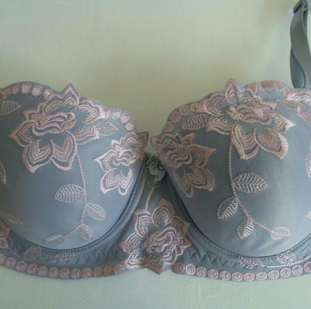 Lavender and Pink Embroidered Feminine Bra 34b
