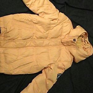 Abercrombie and Fitch kempshell