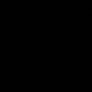 Meet your Posher, Germaine