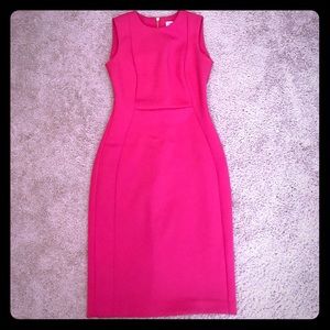 Calvin Klein Pink Dress Sz 2
