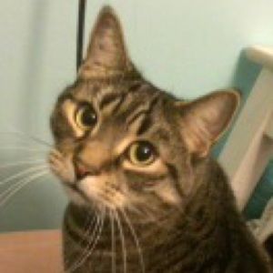 Meet your Posher, Hailee marie