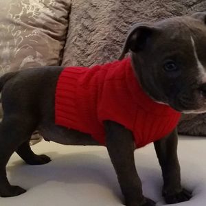 Meet your Posher, Keith