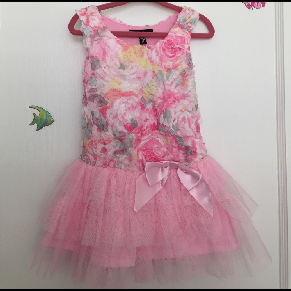 New Without tag pink lace tutu dress