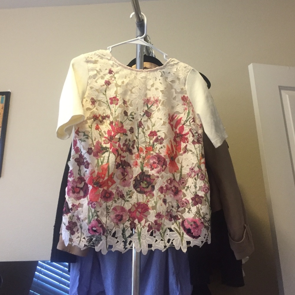 Anthropology top