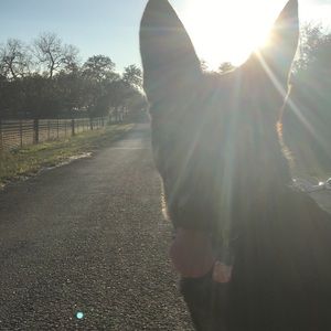 Meet your Posher, Hannah