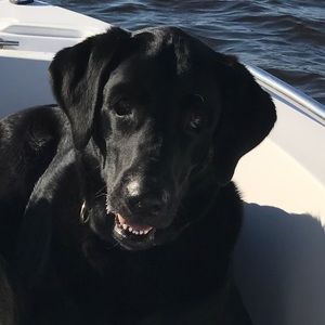 Meet your Posher, Ericka