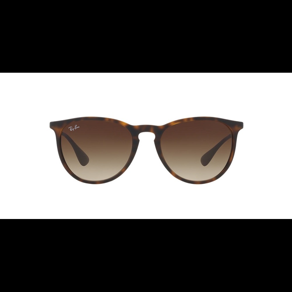 Ray-Ban Erika Sunglasses