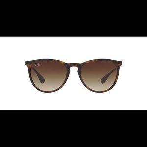 Ray-Ban Erika Sunglasses