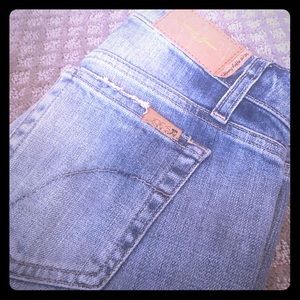 Joes Skinny Ankle jeans