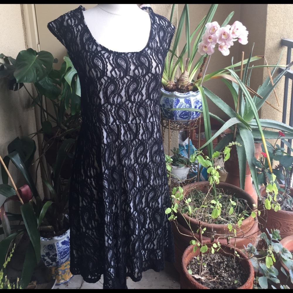 🦋Lace Black and White Formal Cocktail Dress 🦋