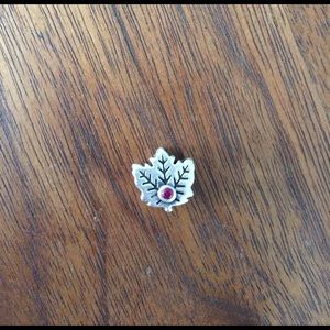 Canadian Pandora charm