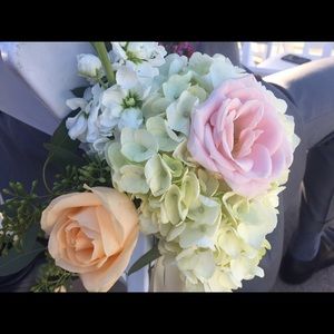 Meet your Posher, Hille