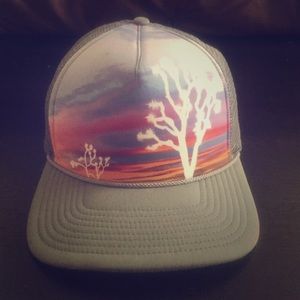 Patagonia trucker hat