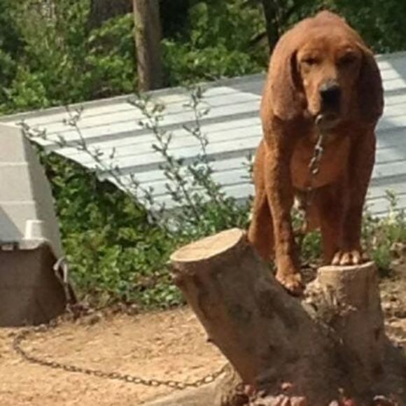 Meet your Posher, Jared - Picture 1 of 1