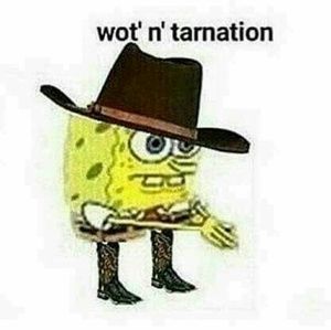 Meet your Posher, Tay