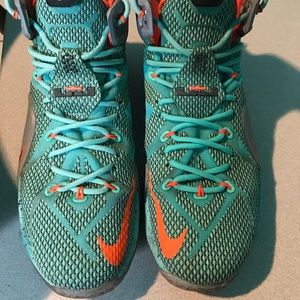 Lebron James Nike Miami Dolphin limited edition