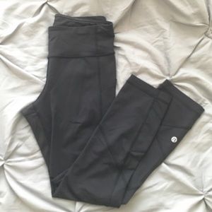 Black pace rival crop