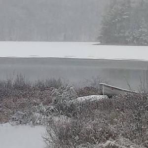 Meet your Posher, Rita