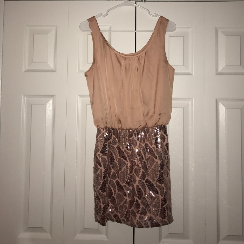 Sparkly dress