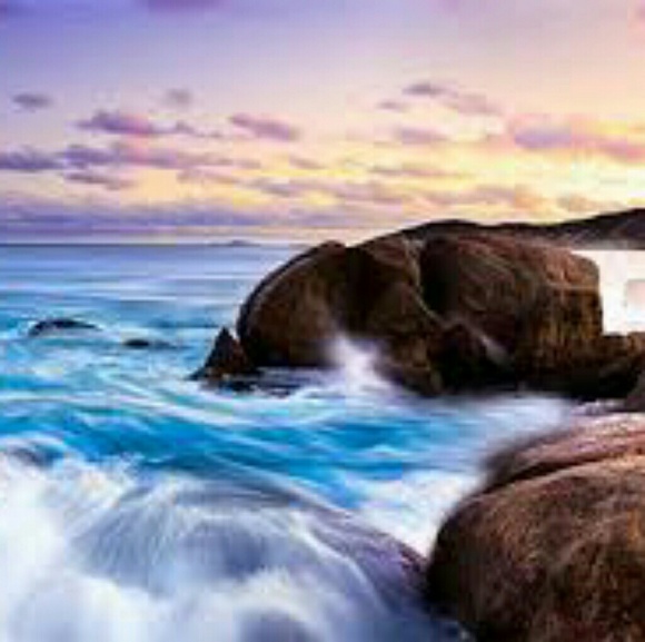 Meet your Posher, Albert - Picture 1 of 1