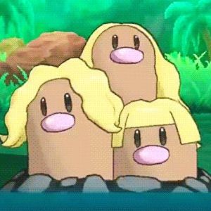 Meet your Posher, Irene