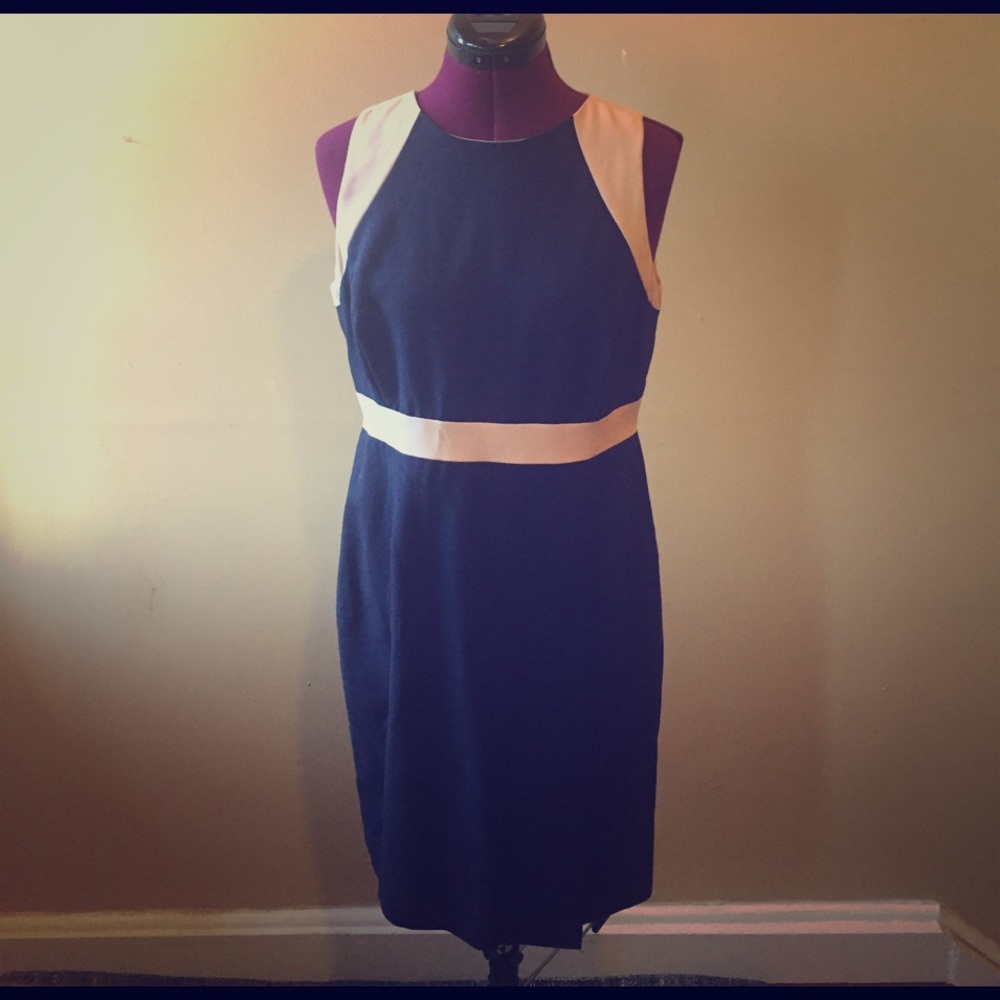 J. Crew dress