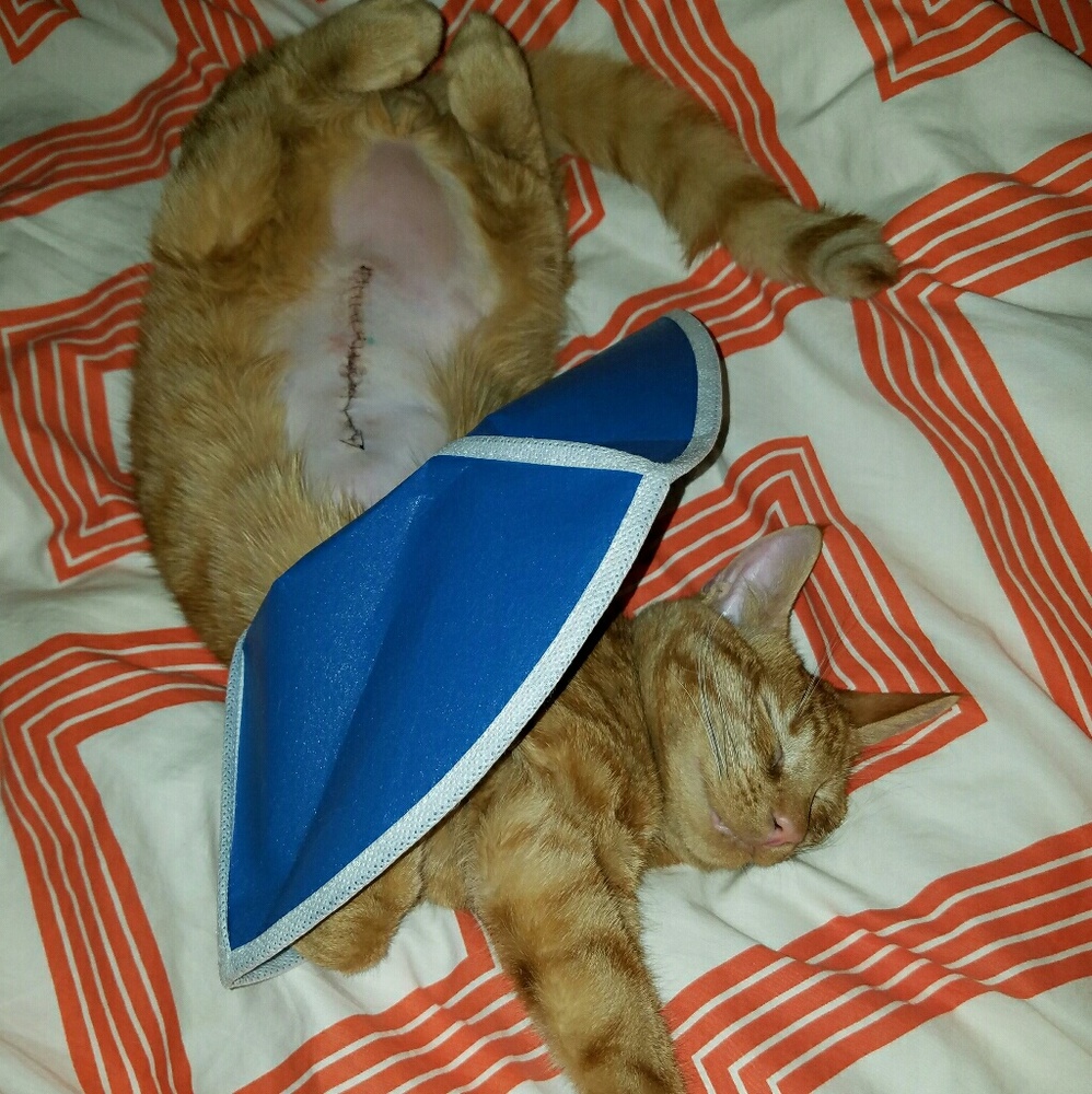 My baby just came out of ER. Need to pay bills!