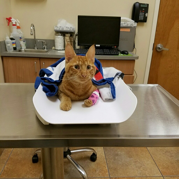 My baby just came out of ER. Need to pay bills! - Picture 2 of 4